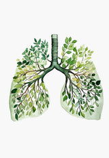 Anatomy Of Human Organs Posters