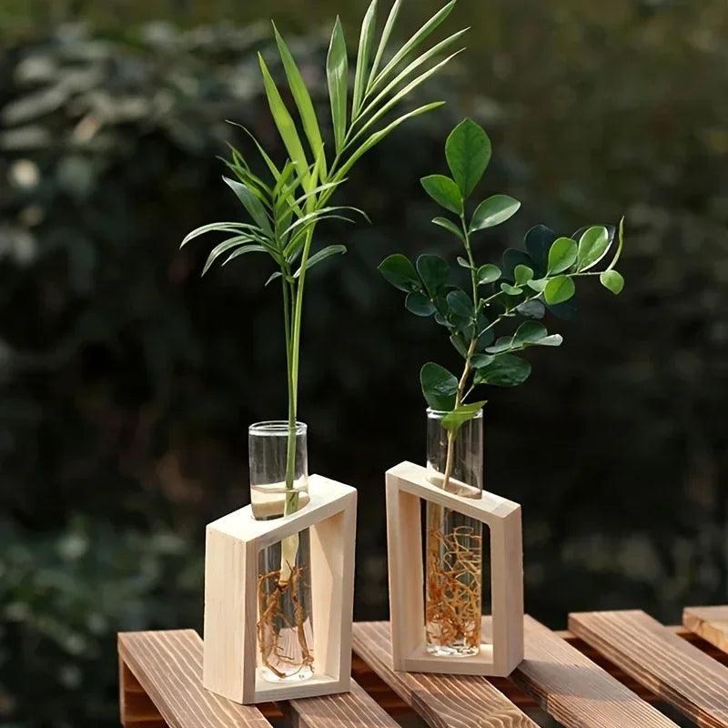 Test Tube Vintage Glass Vase Plant