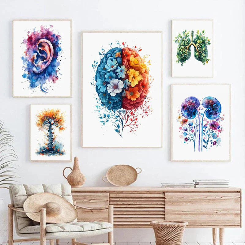 Anatomy Of Human Organs Posters