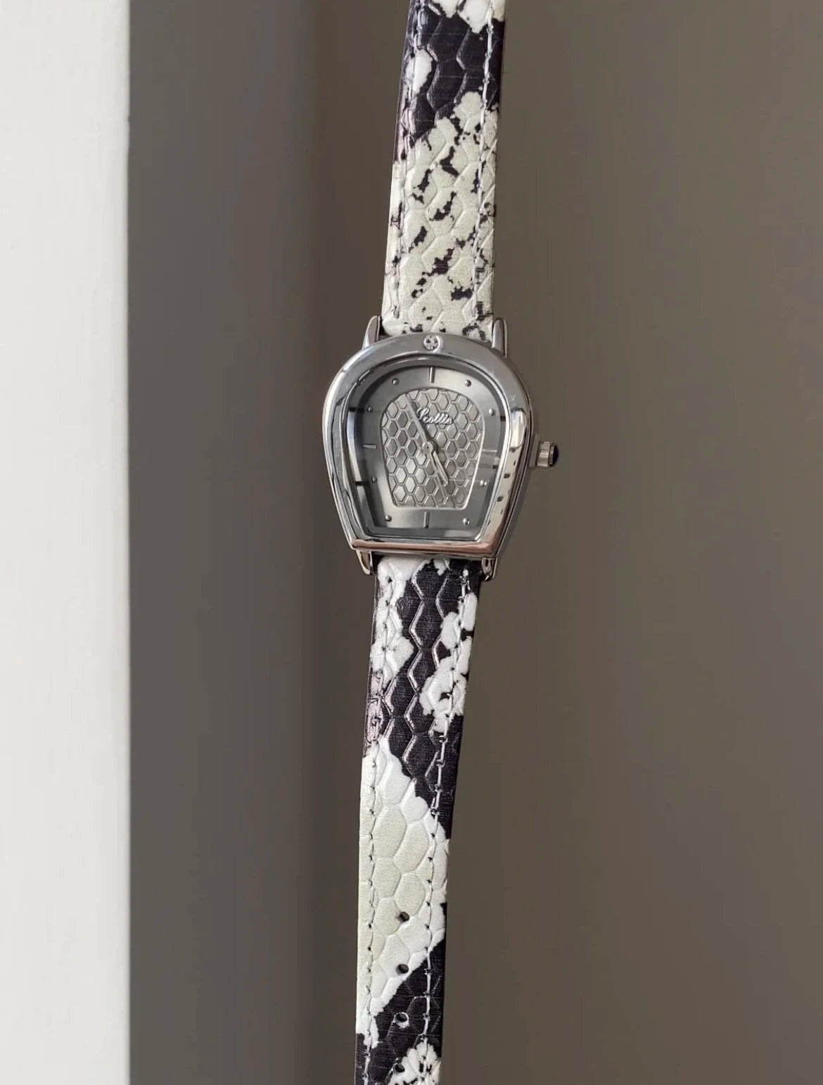Vintage-Inspired Snake Women's Gray Watch